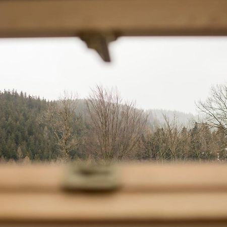 Golden Apartments Zakopane- One Bedroom Apartment - Mountain View&B14 エクステリア 写真