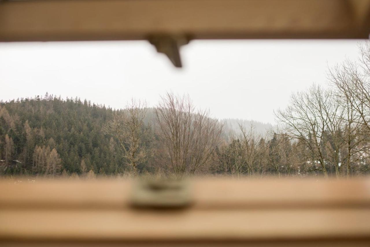 Golden Apartments Zakopane- One Bedroom Apartment - Mountain View&B14 エクステリア 写真
