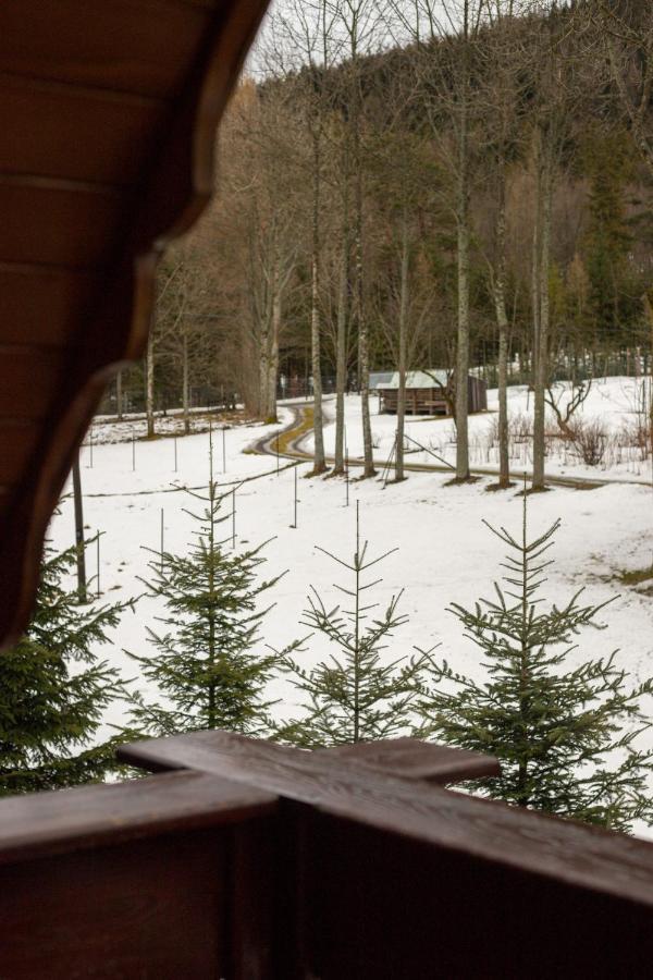 Golden Apartments Zakopane- One Bedroom Apartment - Mountain View&B14 エクステリア 写真