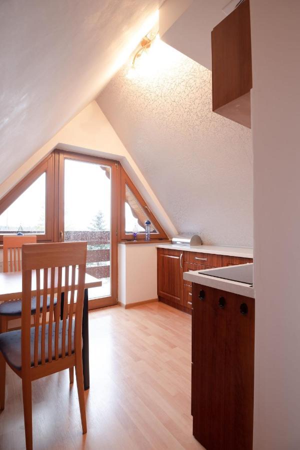Golden Apartments Zakopane- One Bedroom Apartment - Mountain View&B14 エクステリア 写真