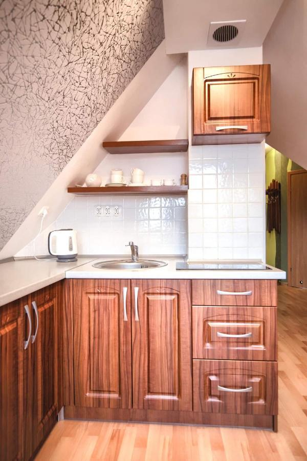 Golden Apartments Zakopane- One Bedroom Apartment - Mountain View&B14 エクステリア 写真