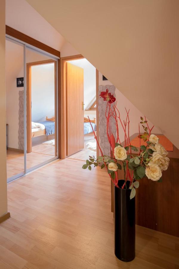 Golden Apartments Zakopane- One Bedroom Apartment - Mountain View&B14 エクステリア 写真